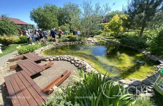 Японский парк 03