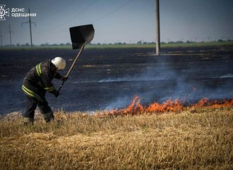Рятувальники 70 разів за добу виїжджали на стихійні пожежі біля Одеси