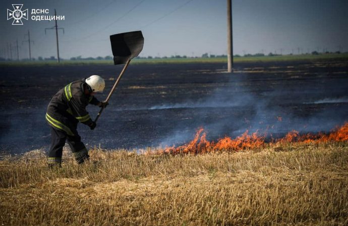 Рятувальники 70 разів за добу виїжджали на стихійні пожежі біля Одеси