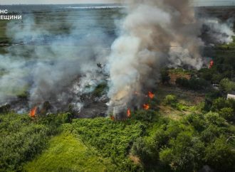 В Одесской области бушуют пожары в экосистемах: есть пострадавшие (видео)