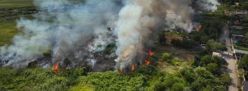 На Одещині вирують пожежі в екосистемах: є постраждалі (відео)