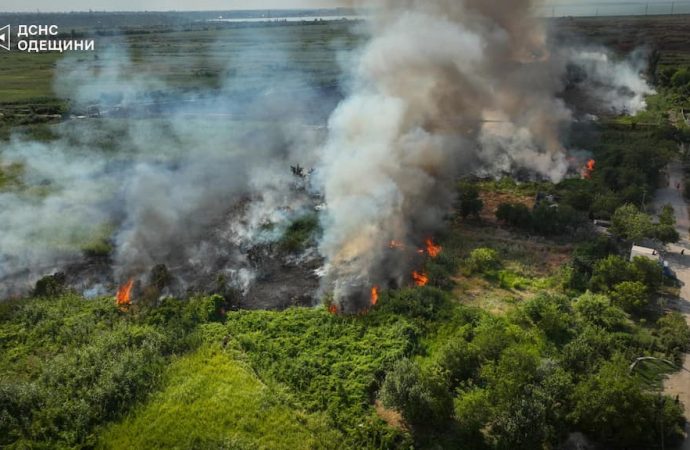 На Одещині вирують пожежі в екосистемах: є постраждалі (відео)