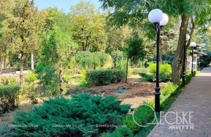 Бульвар Жванецкого: зелень