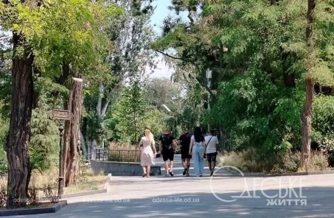 Бульвар Жванецкого: прогулка