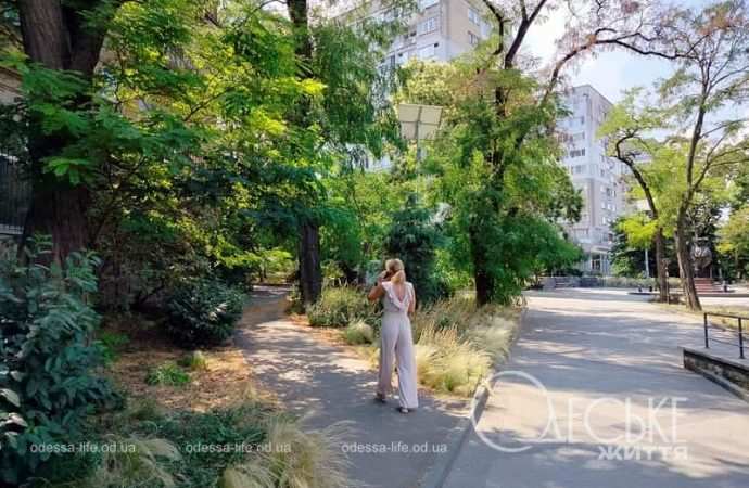 Бульвар Жванецкого: аллея