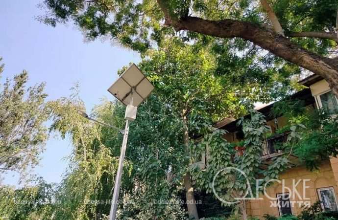 Бульвар Жванецкого: фонарь и дерево