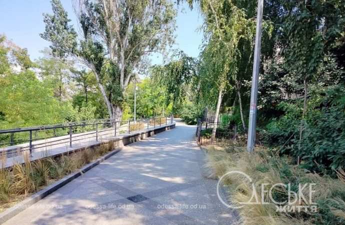 Бульвар Жванецкого: дорожка