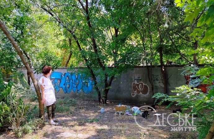 Бульвар Жванецкого: кормят котиков