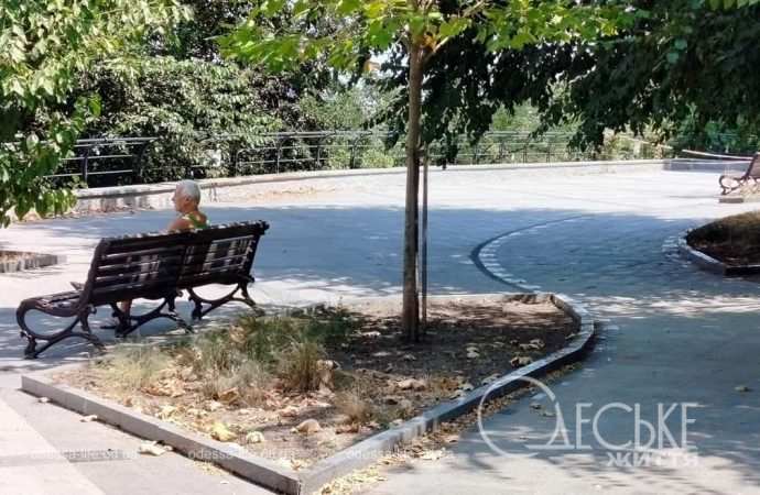 Бульвар Жванецкого: скамейка