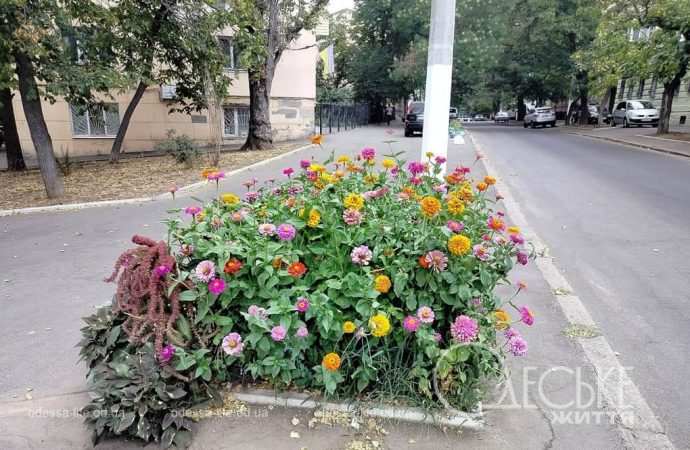 Прогноз синоптиков на 23 июля: станет ли прохладнее после долгожданного дождя