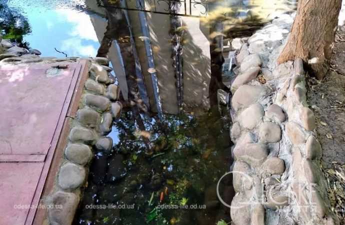 Центр Одессы 31 июля, вода