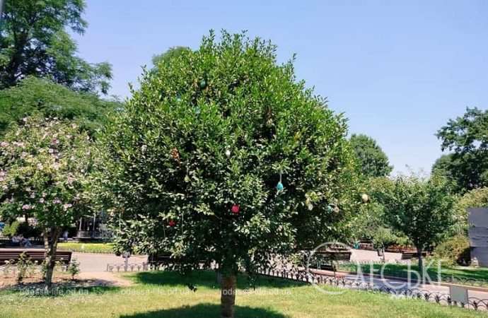 Жара в Одессе, Пасхальное дерево