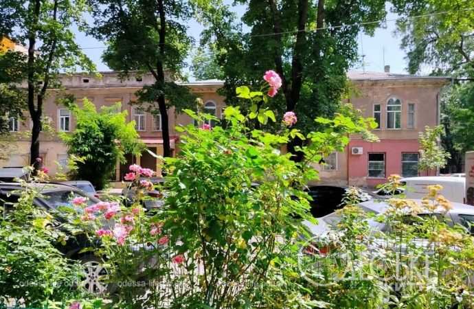 Летние цветы в Одессе