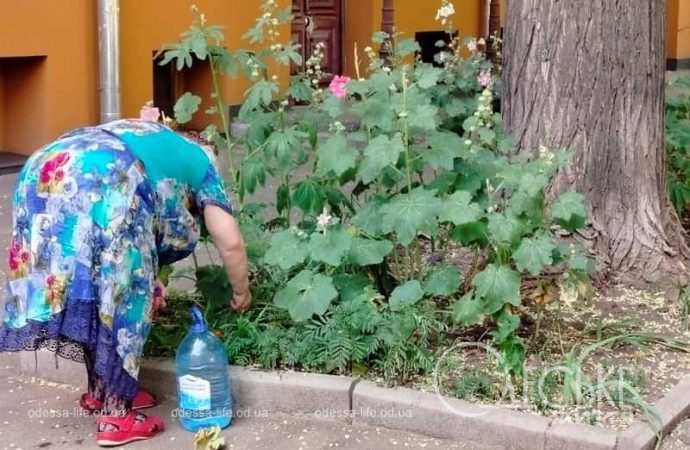 Одесситка поливает цветы