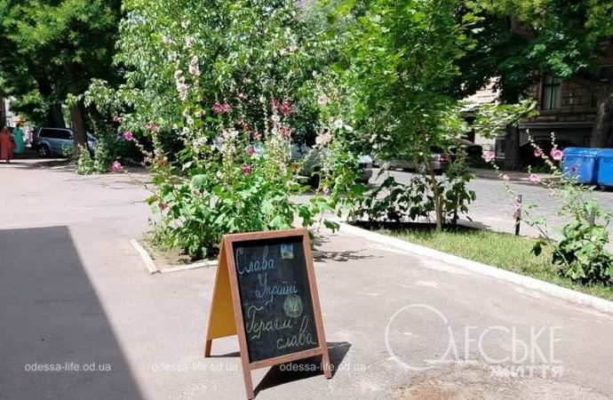 Июль в Одессе, "подорожник"