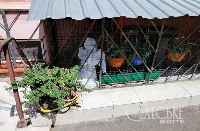 Центр Одессы 31 июля, ангел