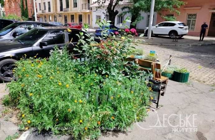 Одесская улица, июль 2024