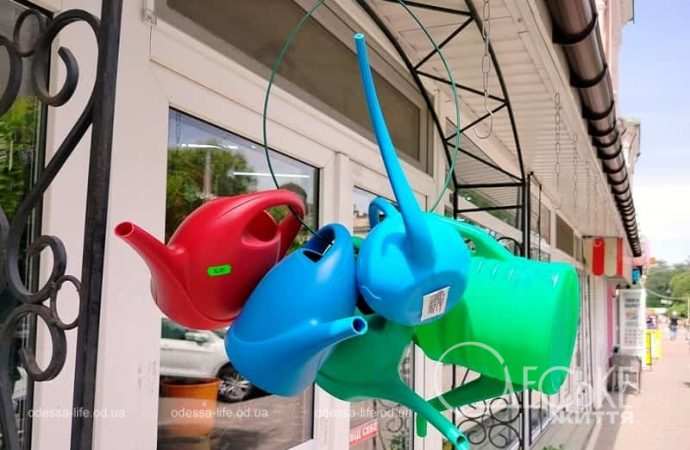 Июль в Одессе, лейки