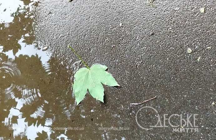 Липень в Одесі