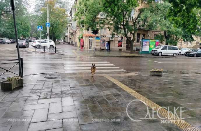 Липень в Одесі