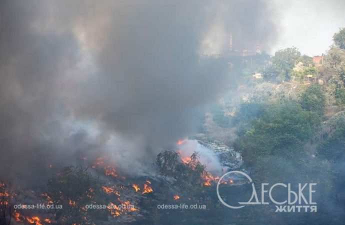 В Одессе горела сухая трава