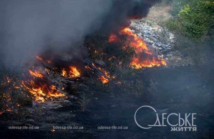 До Одеси наближається стіна вогню: рятувальники показали причину запаху гару