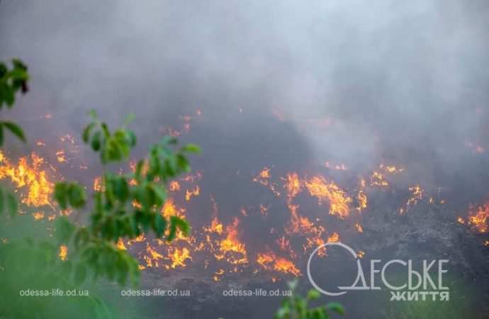 Пожар на Жеваховой горе