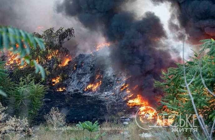 Пожар на Жеваховой горе в Одессе