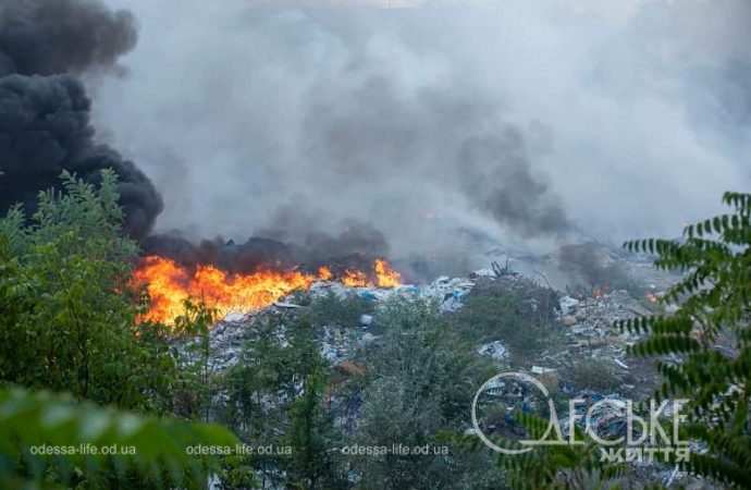 В Одессе горела трава на Жеваховой горе
