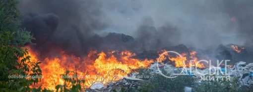 В Одессе на Жеваховой горе тушили масштабный пожар, угрожавший жилым домам (фоторепортаж)