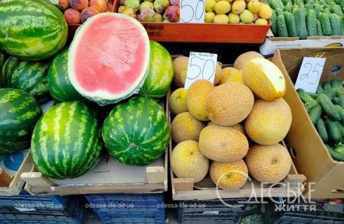 Арбузы и дыни на Привозе