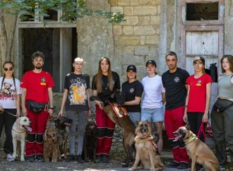 Собаки-рятувальники в Одесі: де їх навчають та як приєднатися зі своїм улюбленцем (відео)