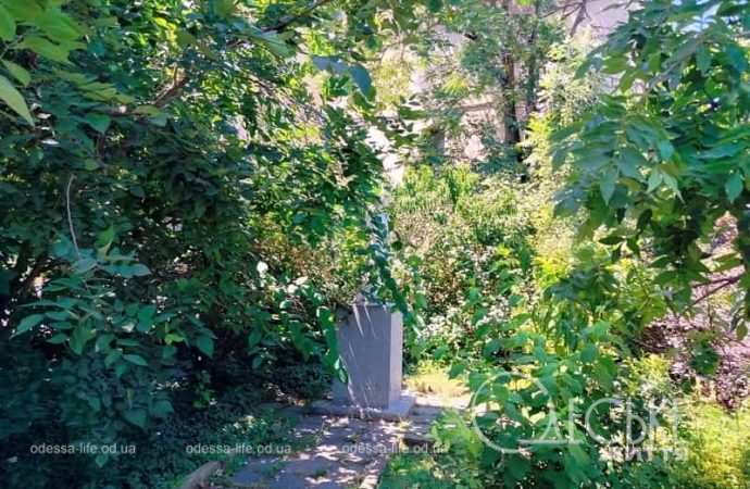 Уголок старой Одессы, летняя листва