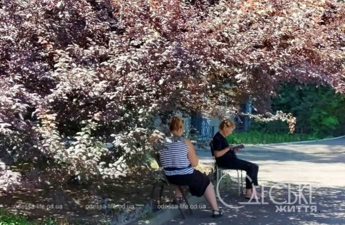 Уголок старой Одессы, отдыхающие