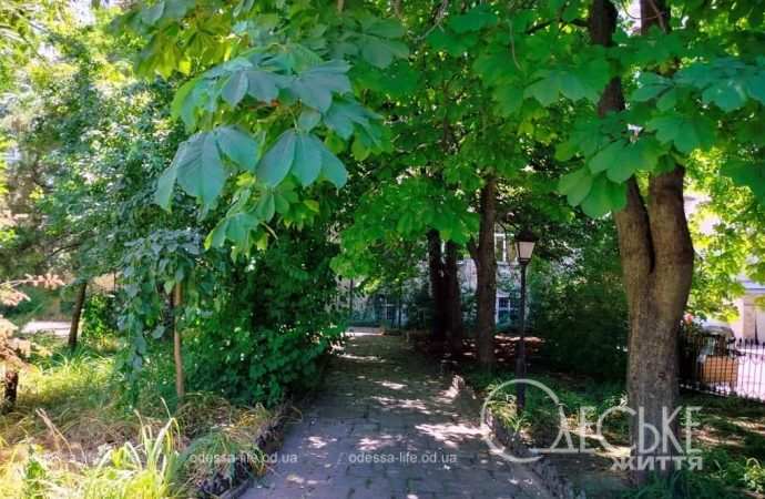 Уголок старой Одессы летом