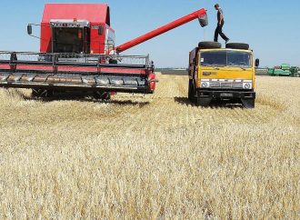 Хліб всупереч війні: аграрії Одеської області не здаються і збирають врожай