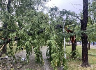 Непогода на Измаильщине: поваленные деревья и обесточенные населенные пункты