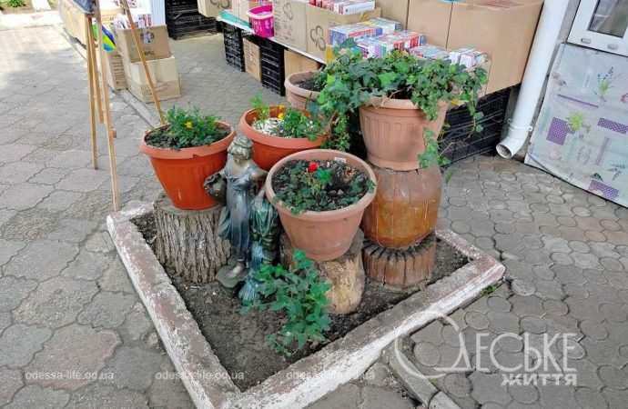 новий базар