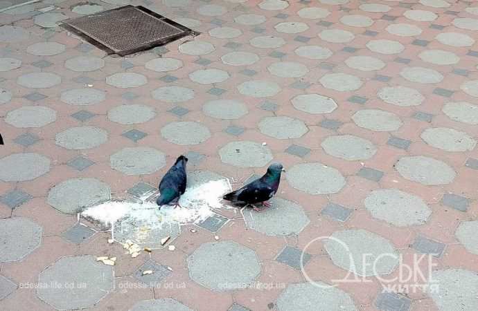 новий базар