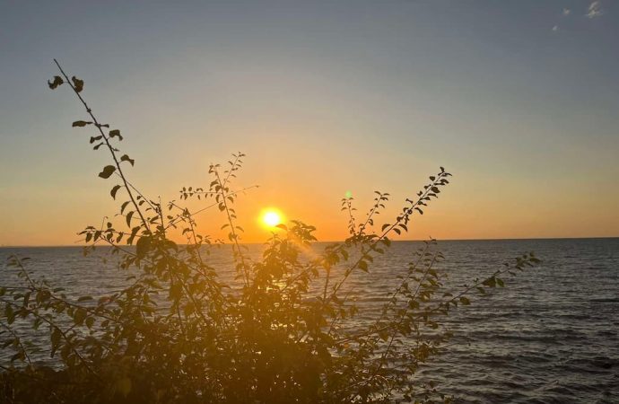 Температура морской воды в Одессе сегодня, 15 августа: можно ли купаться