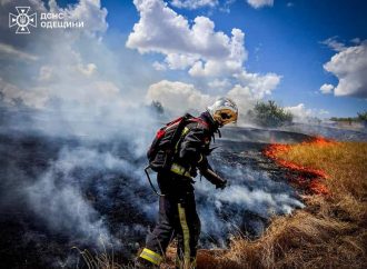 Более 10 пожарных борются с огнем на полях фильтрации