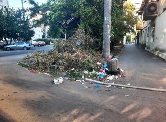 В центре Одессы после обрезки деревьев «выросла» свалка — фотофакт