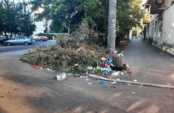 У центрі Одеси після обрізки дерев «виросло» звалище – фотофакт