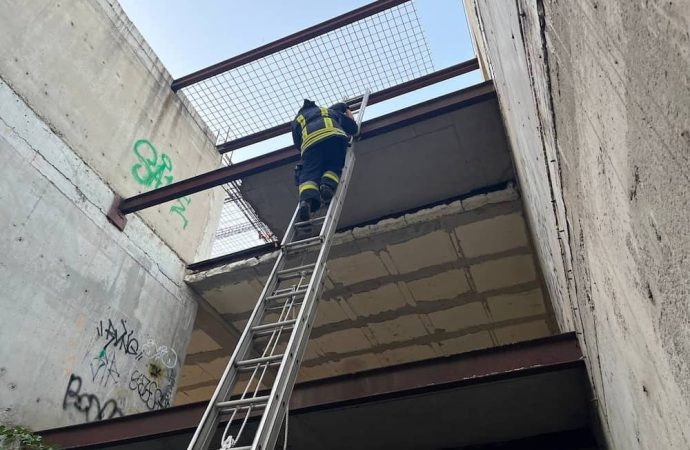 В Одеській області з недобудови знімали малолітнього екстремала (фото)