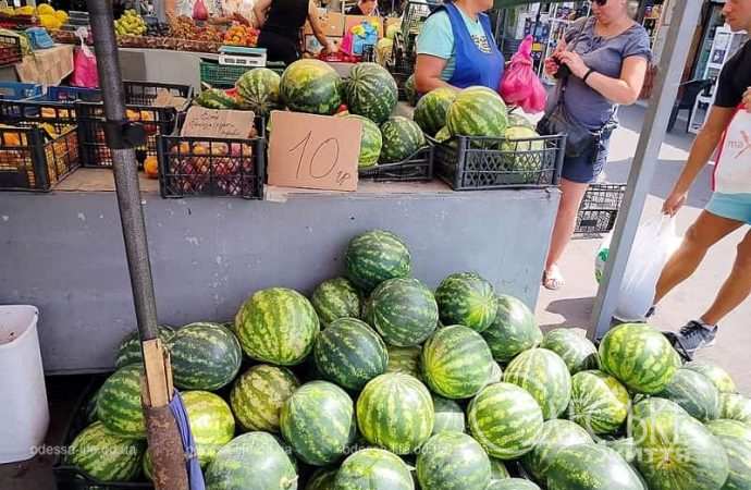 Продажа арбухов на Привозе