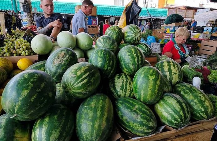 Продажа арбузов в Одессе