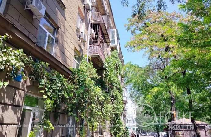 Август в Одессе, дом, улица