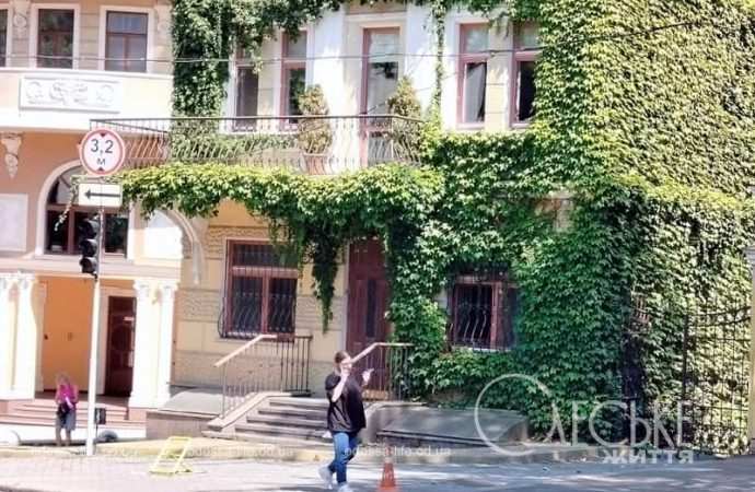 Август в Одессе, дом, обвитый плющом