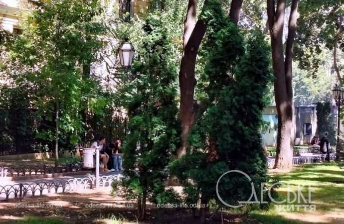 Август в Одессе, 25.08.24