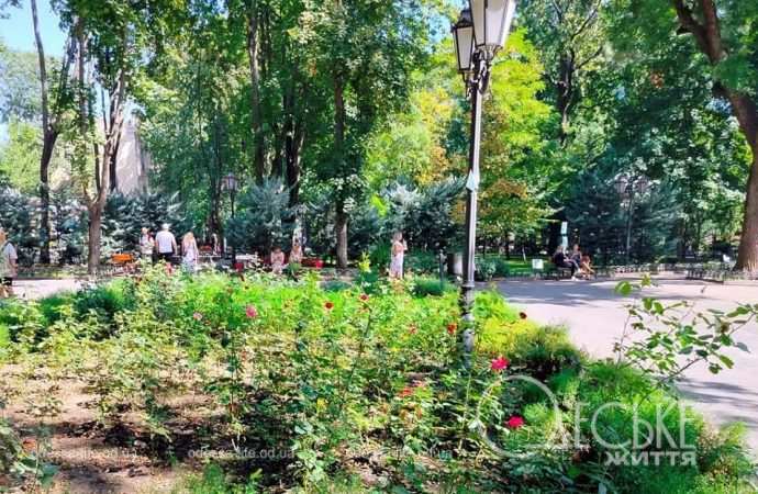 Август в Одессе, Горсад, зелень